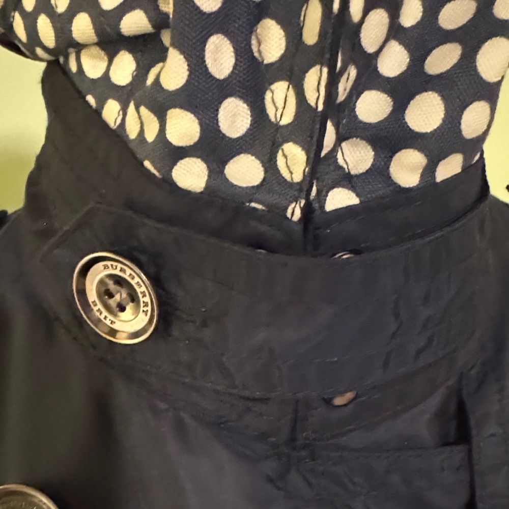 Burberry Brit Navy Double-Breasted Military Jacket - Picture 6 of 11